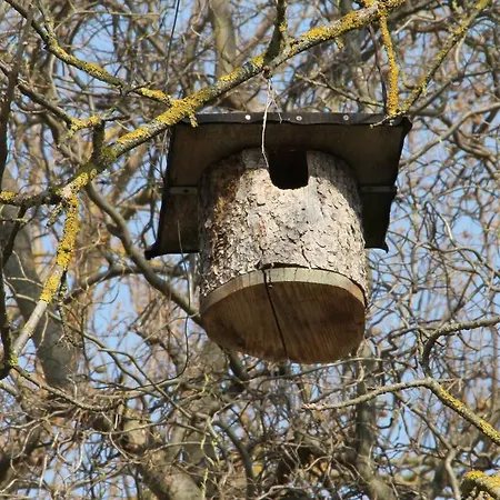 Lägenhet Pipagyujto Malom